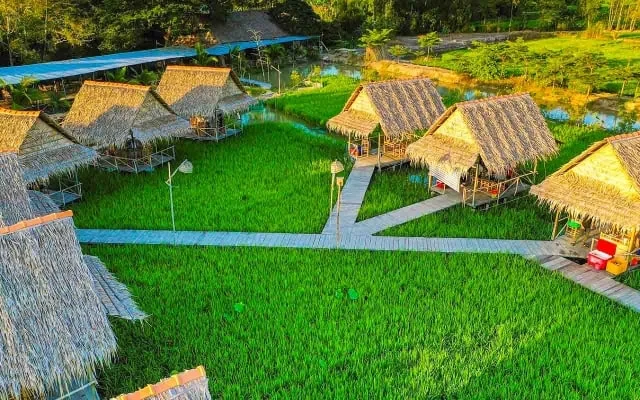 Cho Thuê Xe Đi Đồng Tháp Cao Lãnh tại TPHCM